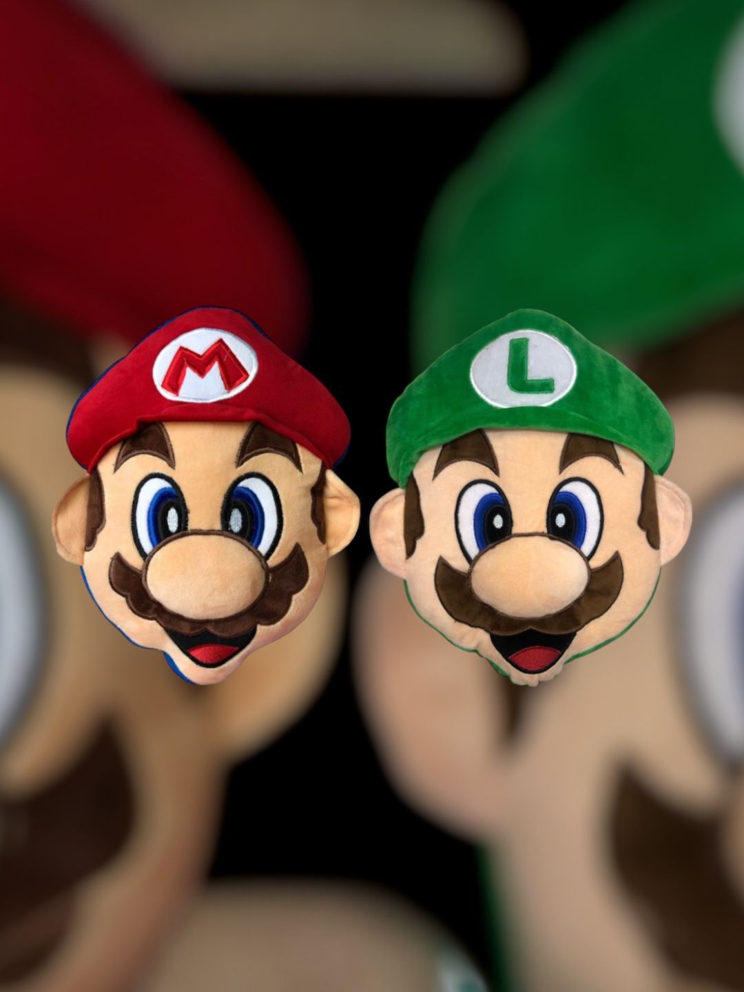 Cojin Mario & Luigui