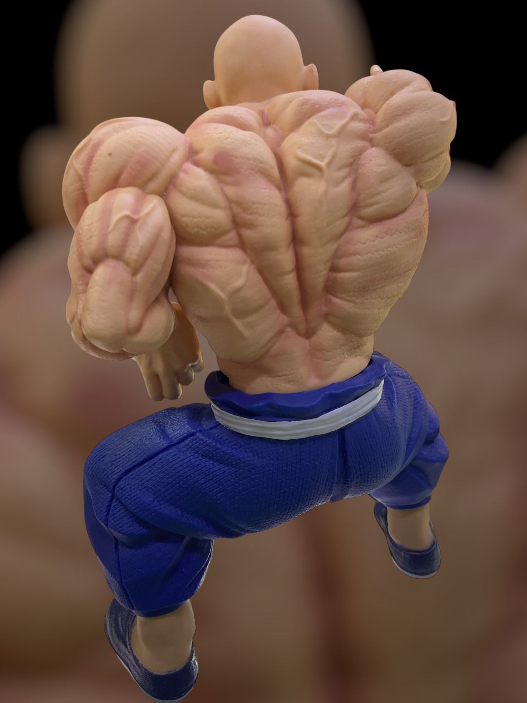 Figura Maestro Roshi