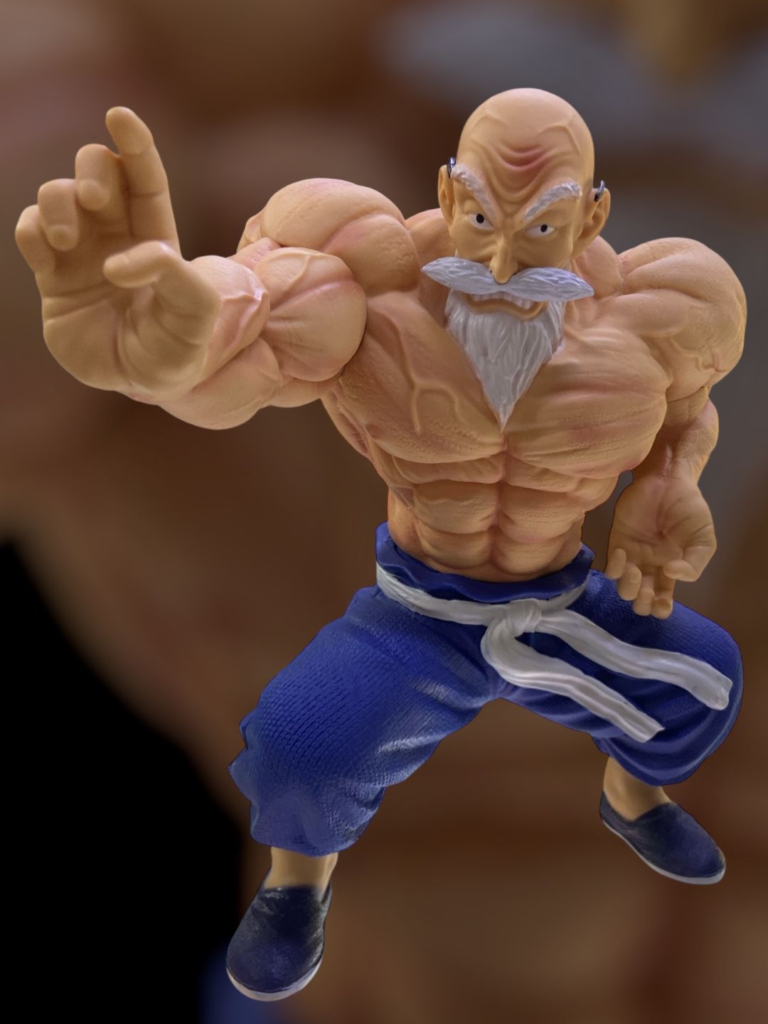Figura Maestro Roshi