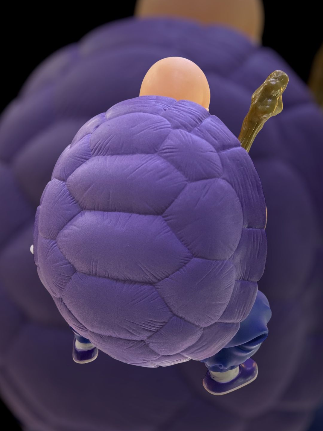 Figura Maestro Roshi