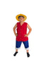 Cosplay Luffy