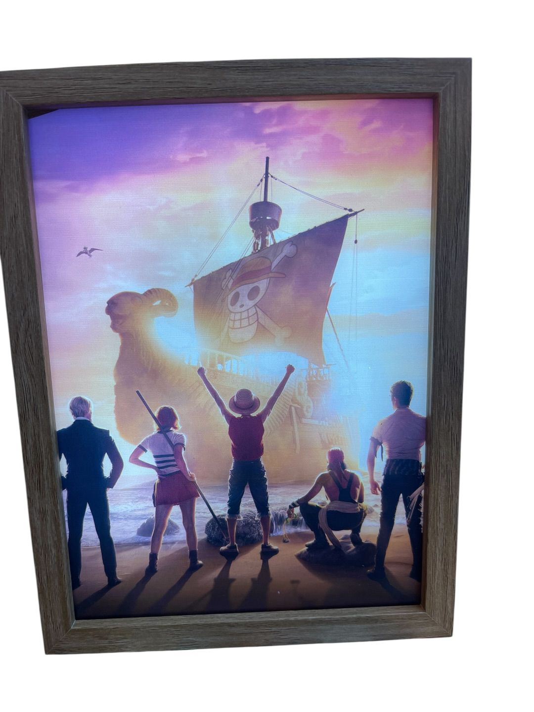 Lampara Led One Piece