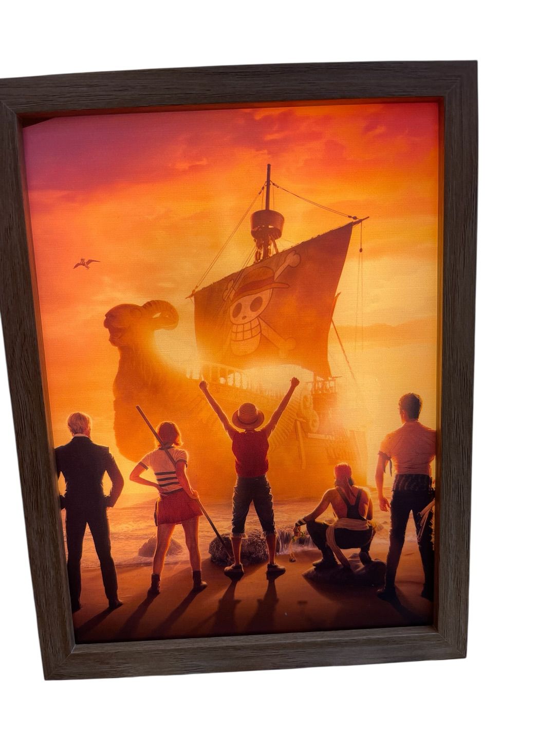Lampara Led One Piece