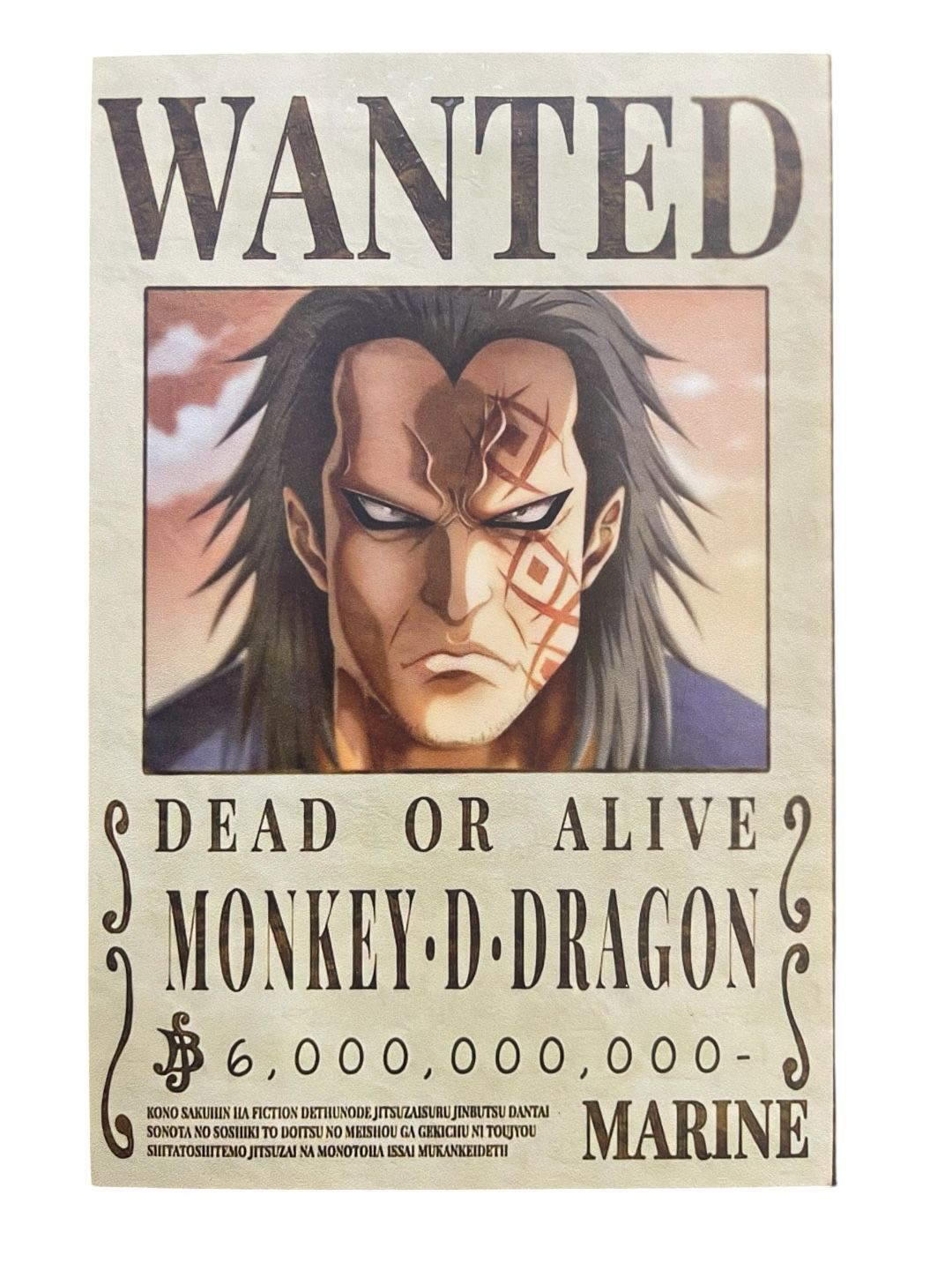 Recuadro Cartel  Monkey D. Dragon One Piece